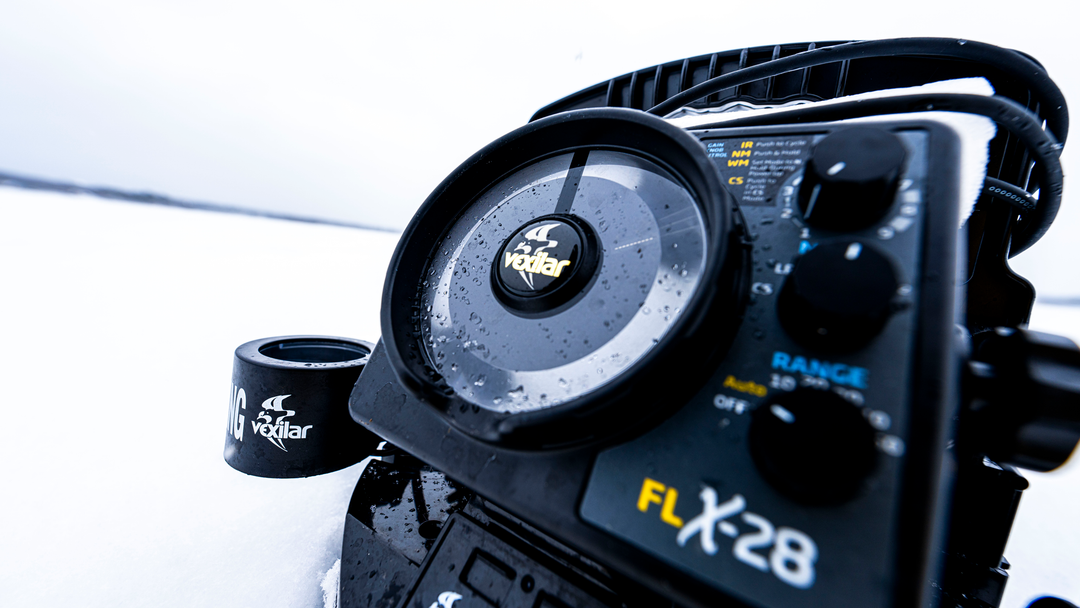 FLX-28